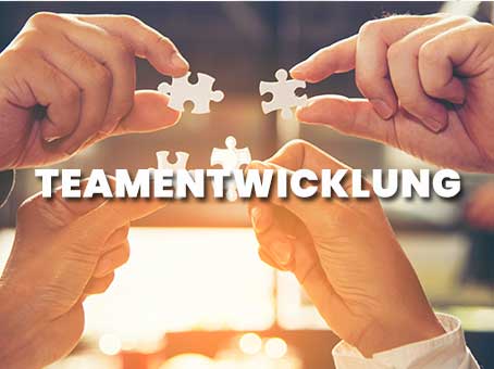 Teamentwicklung